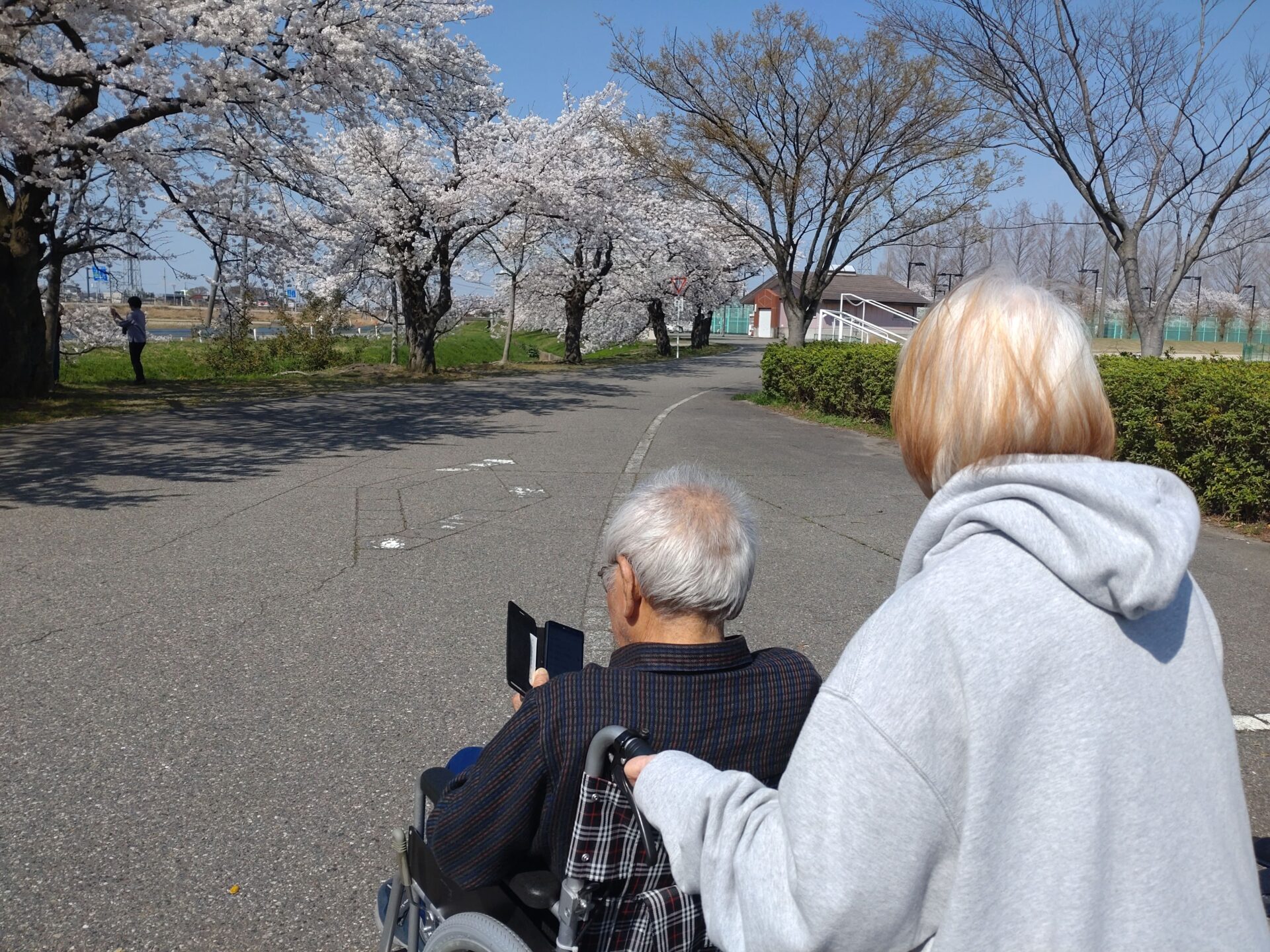 【外出】花見へ行きました