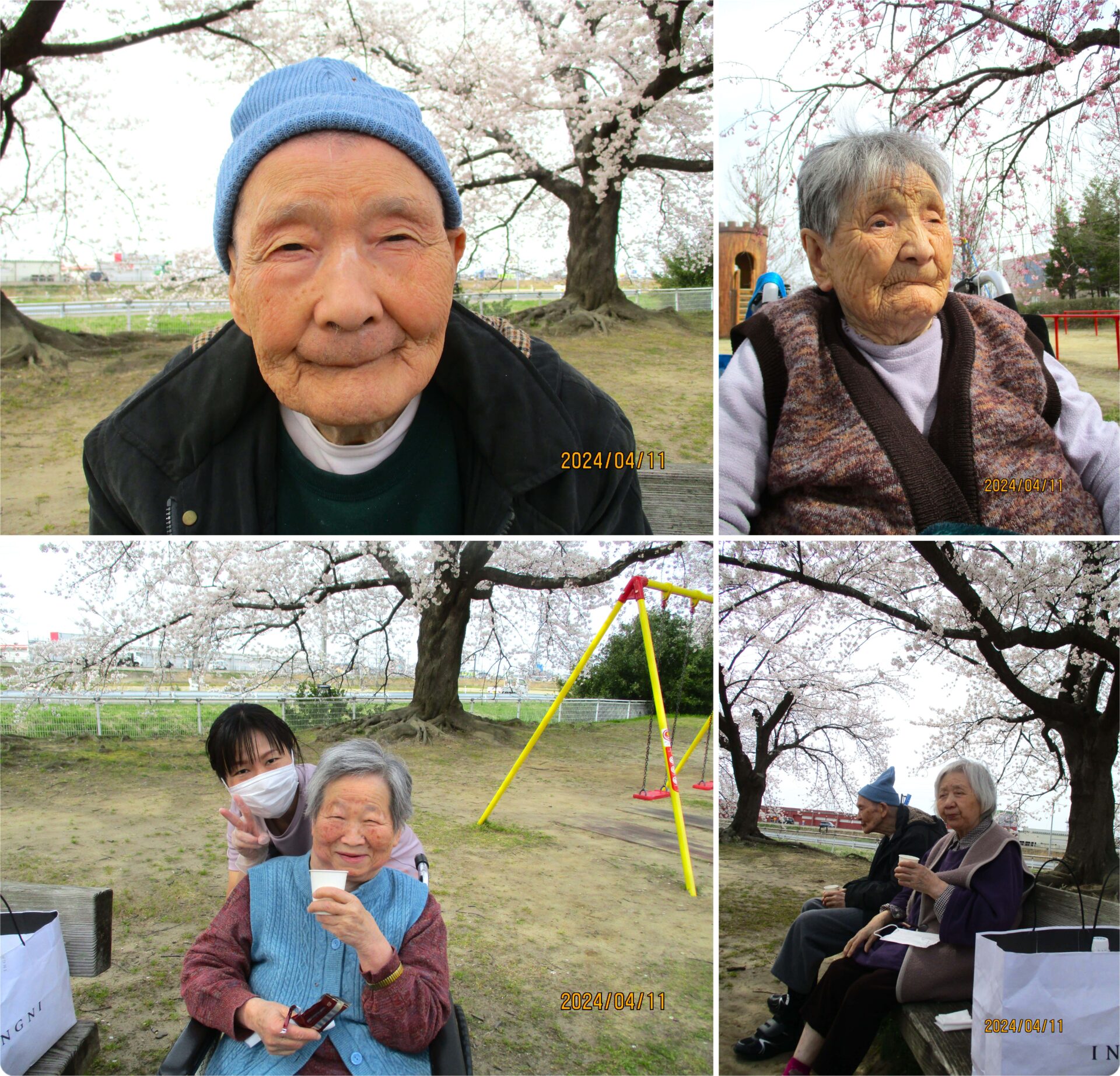 【鈴組】公園にて花見
