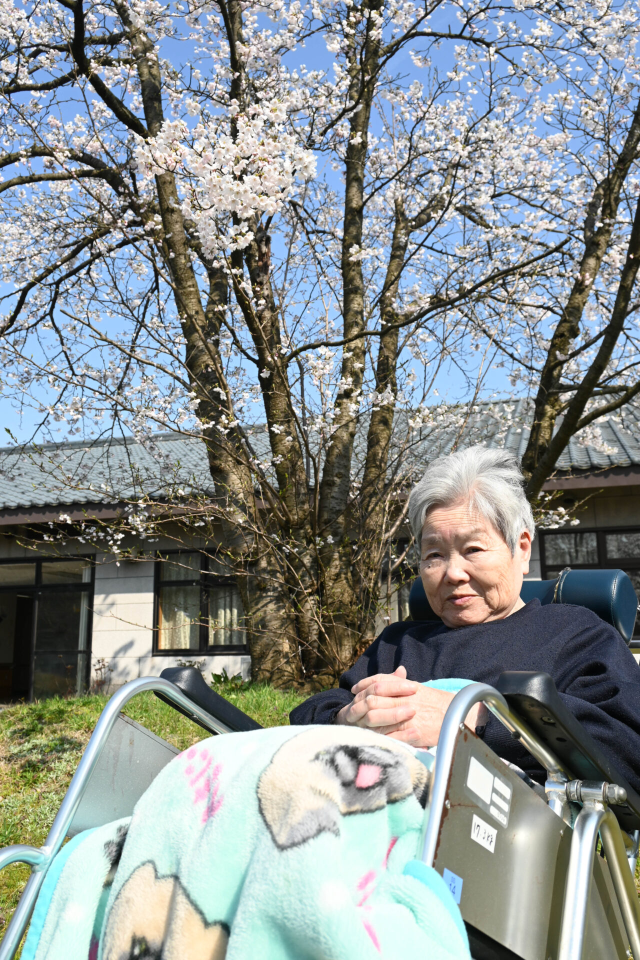 【ショートステイ】お花見をしました！